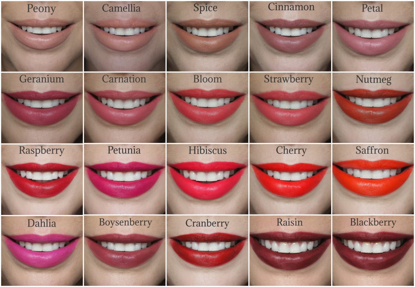 Bareminerals barepro lipstick swatches on the lips