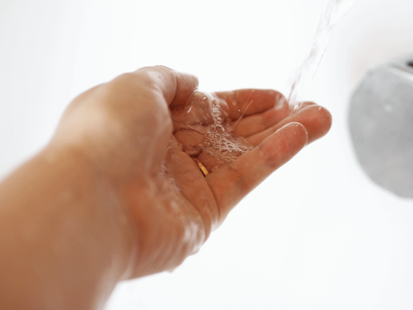 organic hand and body wash